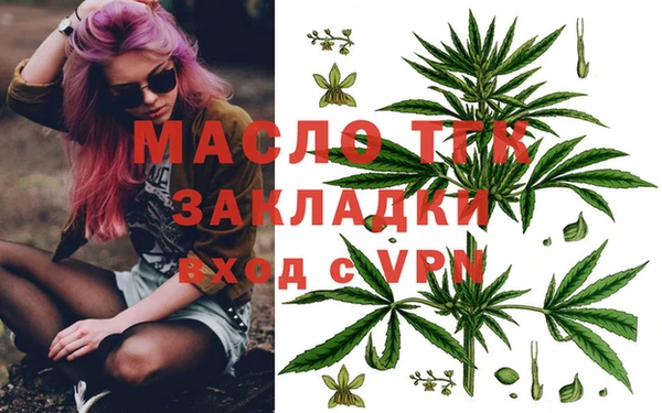 хмурый Верея