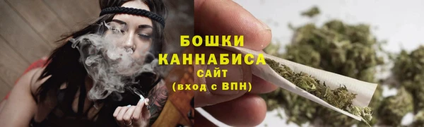 сатива Володарск