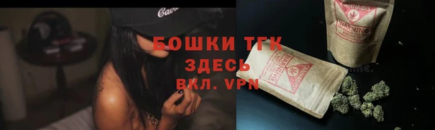 MDMA Бородино
