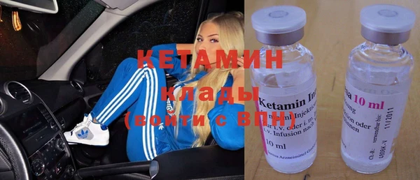 хмурый Верея