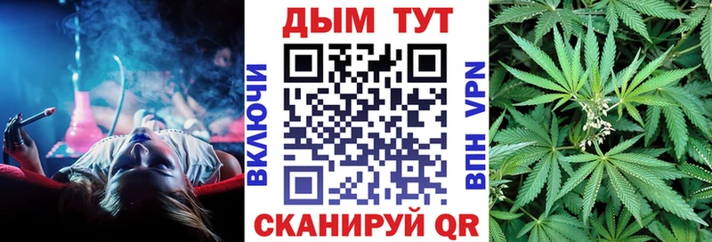 Бошки марихуана гибрид Суворов